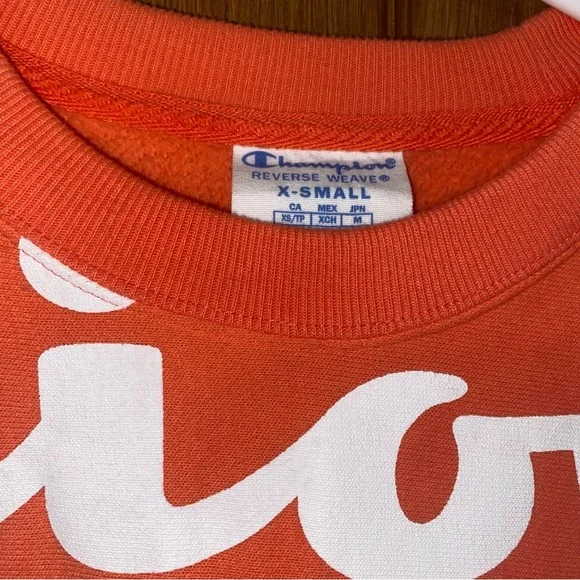 CHAMPION XS SWEATER - Picture 3 of 3